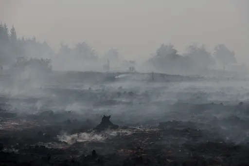 Incendies en Europe: une ville allemande partiellement évacuée