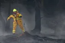 Bosbrand verwoest 2.700 hectare in Oost-België; honderden mensen geëvacueerd