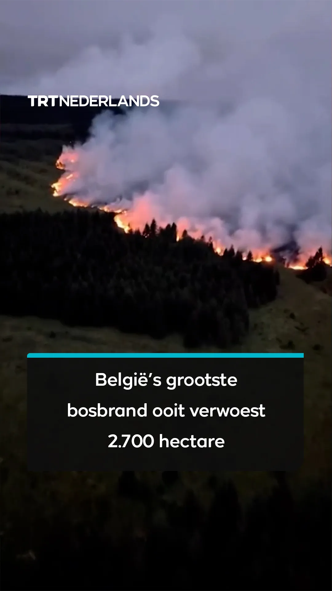 De grootste bosbrand ooit in België verwoest 2.700 hectare
