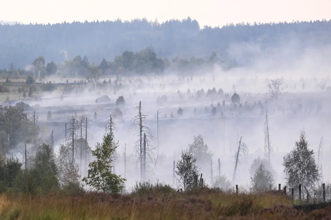 Firefighters contain Belgium's largest wildfire in a century but situation still 'complicated'