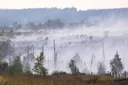 Firefighters contain Belgium's largest wildfire in a century but situation still 'complicated'