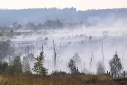 Firefighters contain Belgium's largest wildfire in a century but situation still 'complicated'