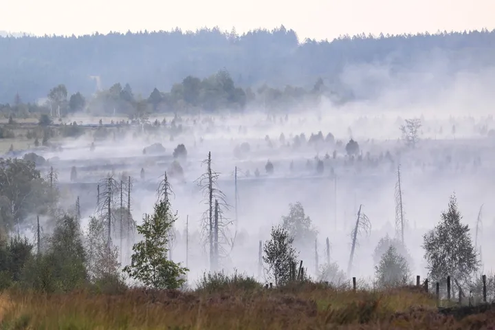 Firefighters contain Belgium's largest wildfire in a century but situation still 'complicated'