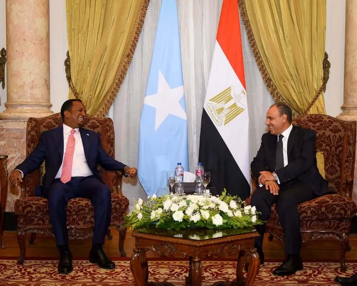 Soomaaliya iyo Masar oo ka wada-hadlay xoojinta xiriirka labada dal iyo amniga Geeska Afrika