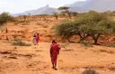 Helicopter crashes in Kenya near popular tourist destination