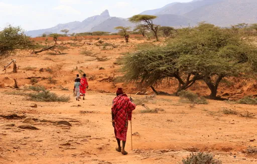 Helicopter crashes in Kenya near popular tourist destination
