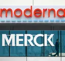 Landmark mRNA cancer vaccine 'intismeran autogene' curbs melanoma in large trial, say US drugmakers