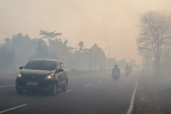 Kabut asap karhutla pekat, kualitas udara Palangka Raya sentuh level berbahaya