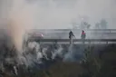 Аномальная жара унесла более 7,3 тыс. жизней во Франции