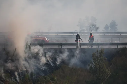 Аномальная жара унесла более 7,3 тыс. жизней во Франции