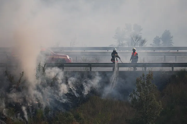 Аномальная жара унесла более 7,3 тыс. жизней во Франции