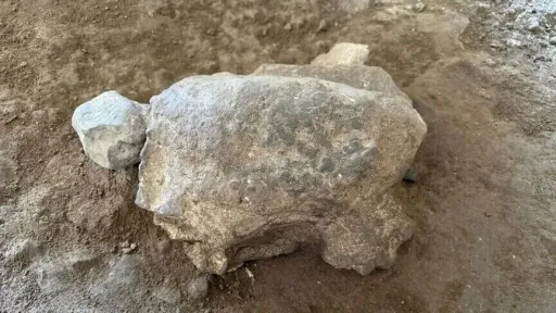 Dvadesetpet figurica kornjača starih 16.500 godina pronađeno u Turkiye