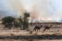 Tchad : 6 morts dans un nouvel affrontement intercommunautaire