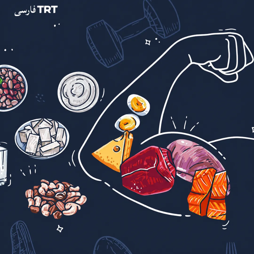 آیا پروتئین بیشتر به معنای سلامتی بیشتر است؟
