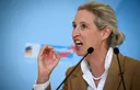 AfD-Chefin Weidel will aus dem Euro aussteigen und Deutschlands Grenzen „zumachen“