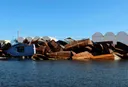 Tunizia nxjerr 11 trupa pas mbytjes së një varke me emigrantë në brigjet e vendit