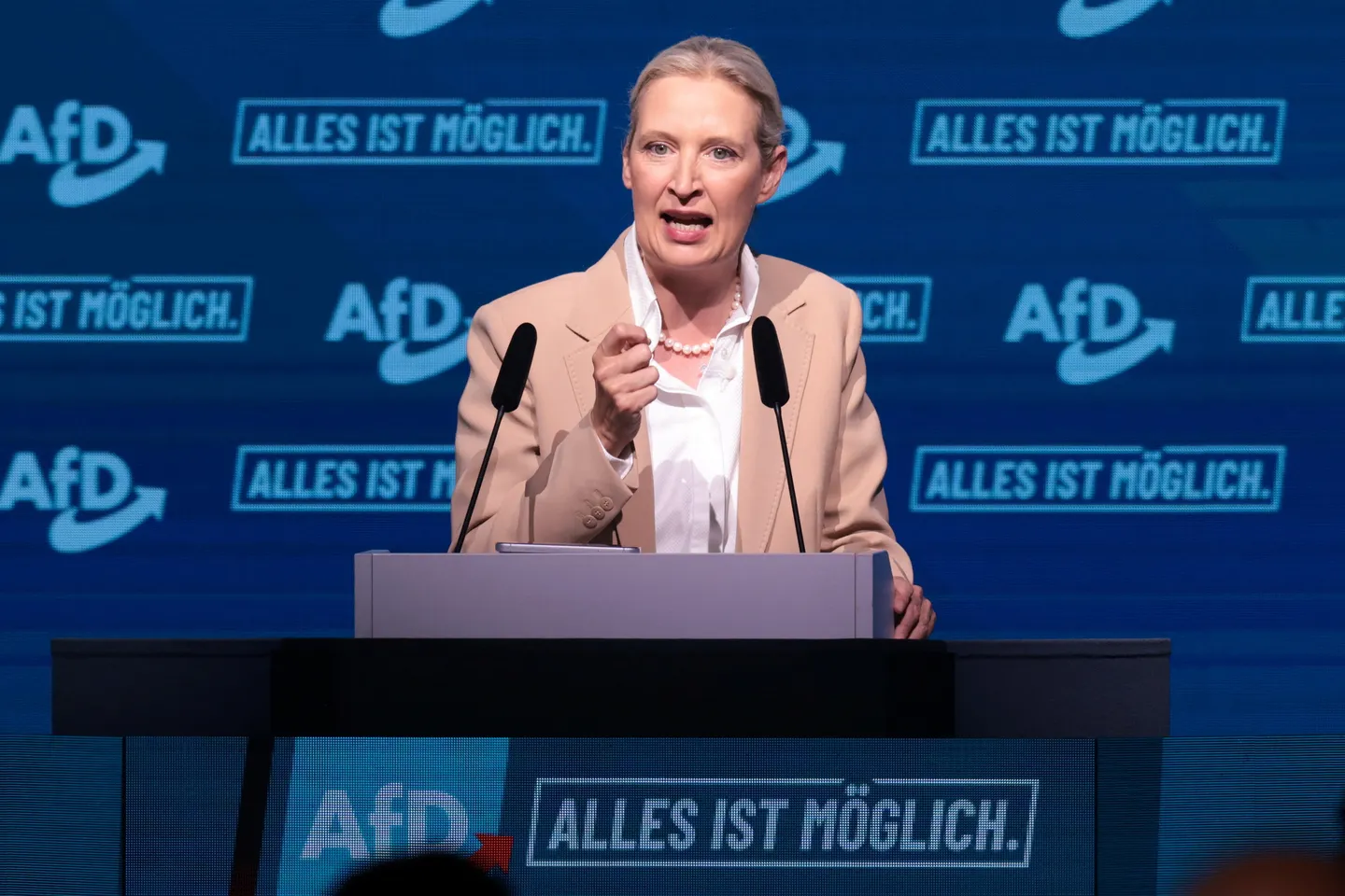 Bashkëkryetarja e AfD-së bën thirrje që Gjermania të largohet nga euro dhe Zona Shengen