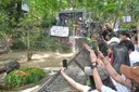Thai zoo owner files complaint over threats by Israeli visitors