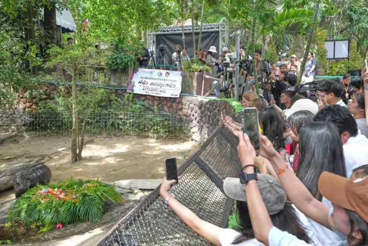 Thai zoo owner files complaint over threats by Israeli visitors