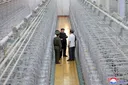 US, South Korea pledge close cooperation to address North Korean nuclear issue