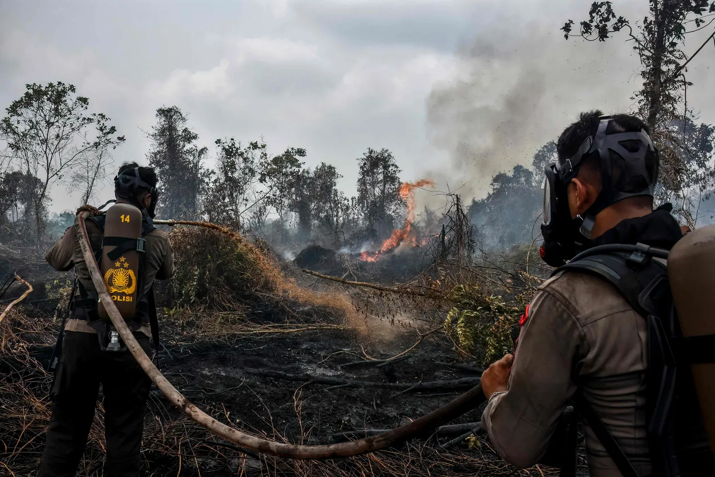 Polri tetapkan 245 orang dan 20 perusahaan sebagai tersangka kasus karhutla