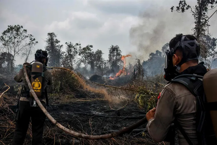 Polri tetapkan 245 orang dan 20 perusahaan sebagai tersangka kasus karhutla
