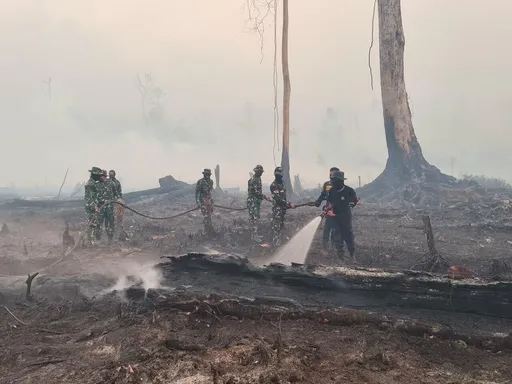 Karhutla melanda tujuh distrik di Nabire, 396 hektare lahan terbakar