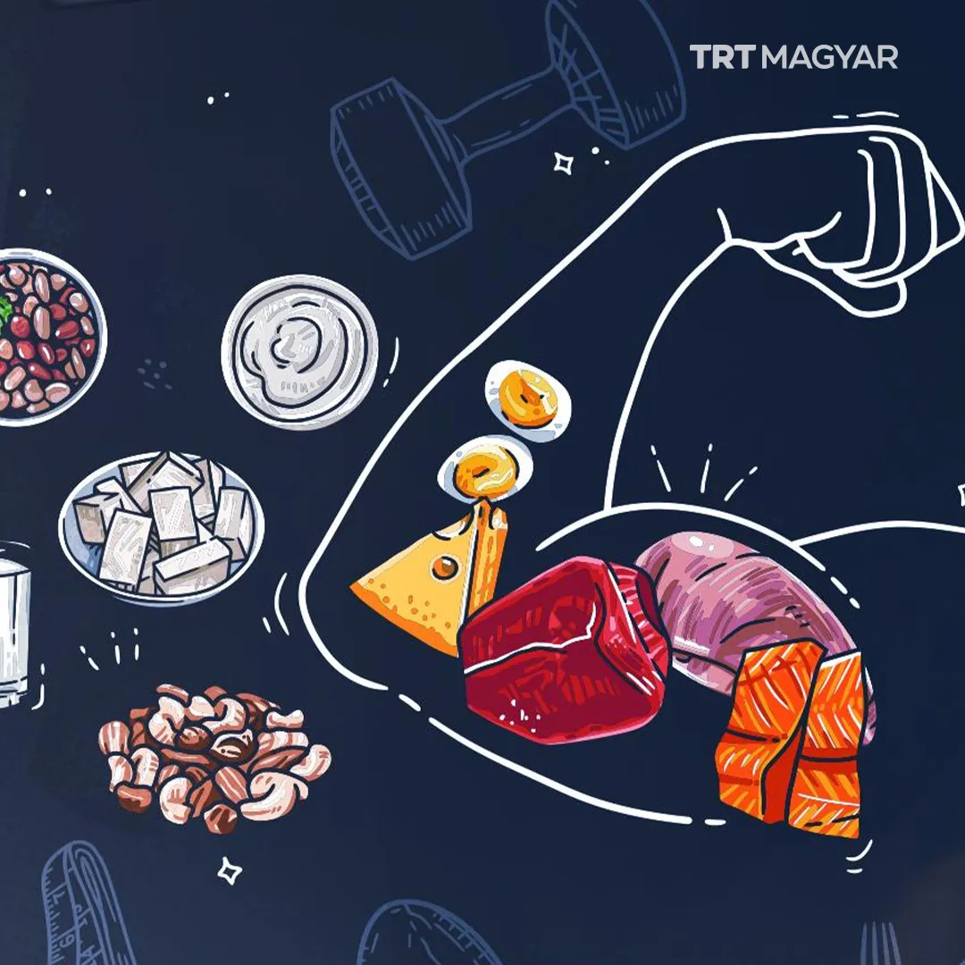 A sok protein fogyasztása valóban jót tesz az egészségnek?