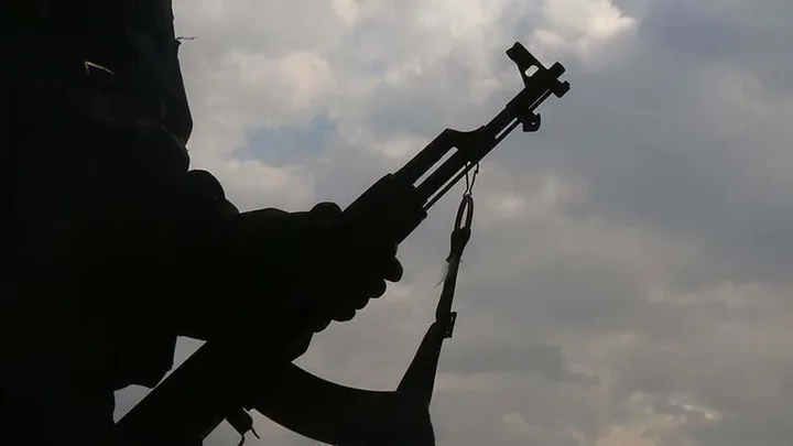 Террористическая организация YPG/СДС объявила о самороспуске в Сирии
