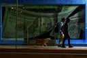 Ахиллесова пята США. Как растущий госдолг подводит страну к дефолту