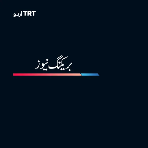 اَجل کے پنجوں نے بوسنیا کے قصاب 'راٹکو میلادچ' کی جان قبض کر لی