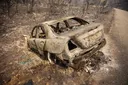 Algeria observes national mourning over wildfire victims