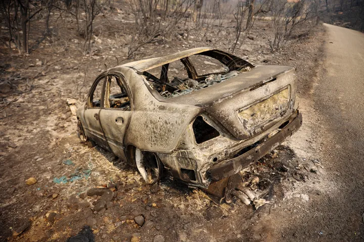 Algeria observes national mourning over wildfire victims