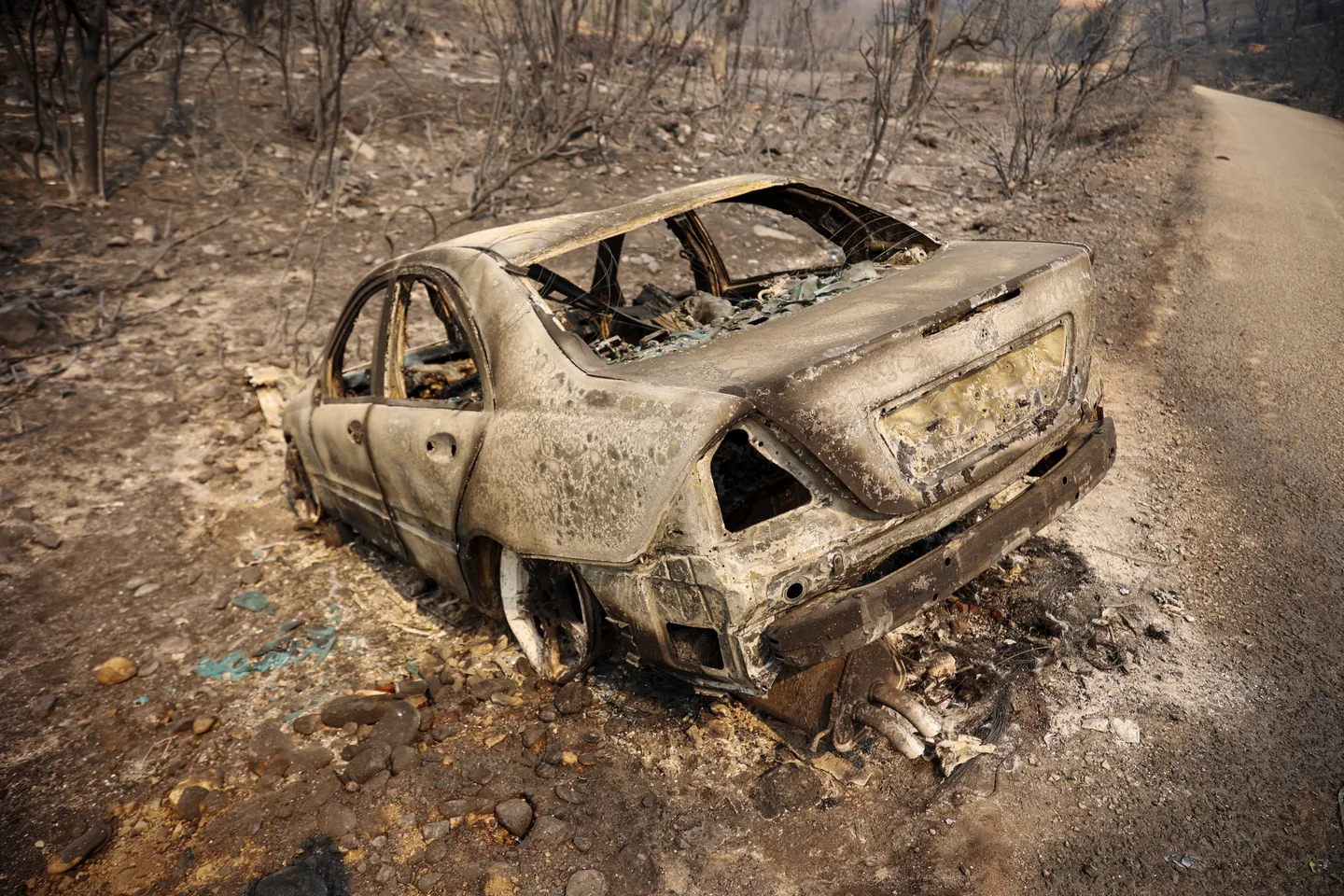 Algeria observes national mourning over wildfire victims