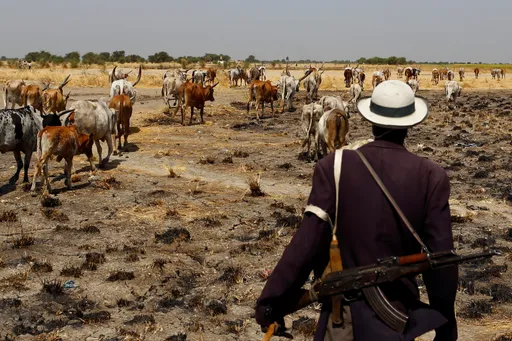 South Sudan cattle raid in Warrap state claims 49 lives, dozens wounded