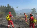 Shqipëri: 34 vatra zjarri në 24 orë, aktive në qarqet Tiranë dhe Dibër