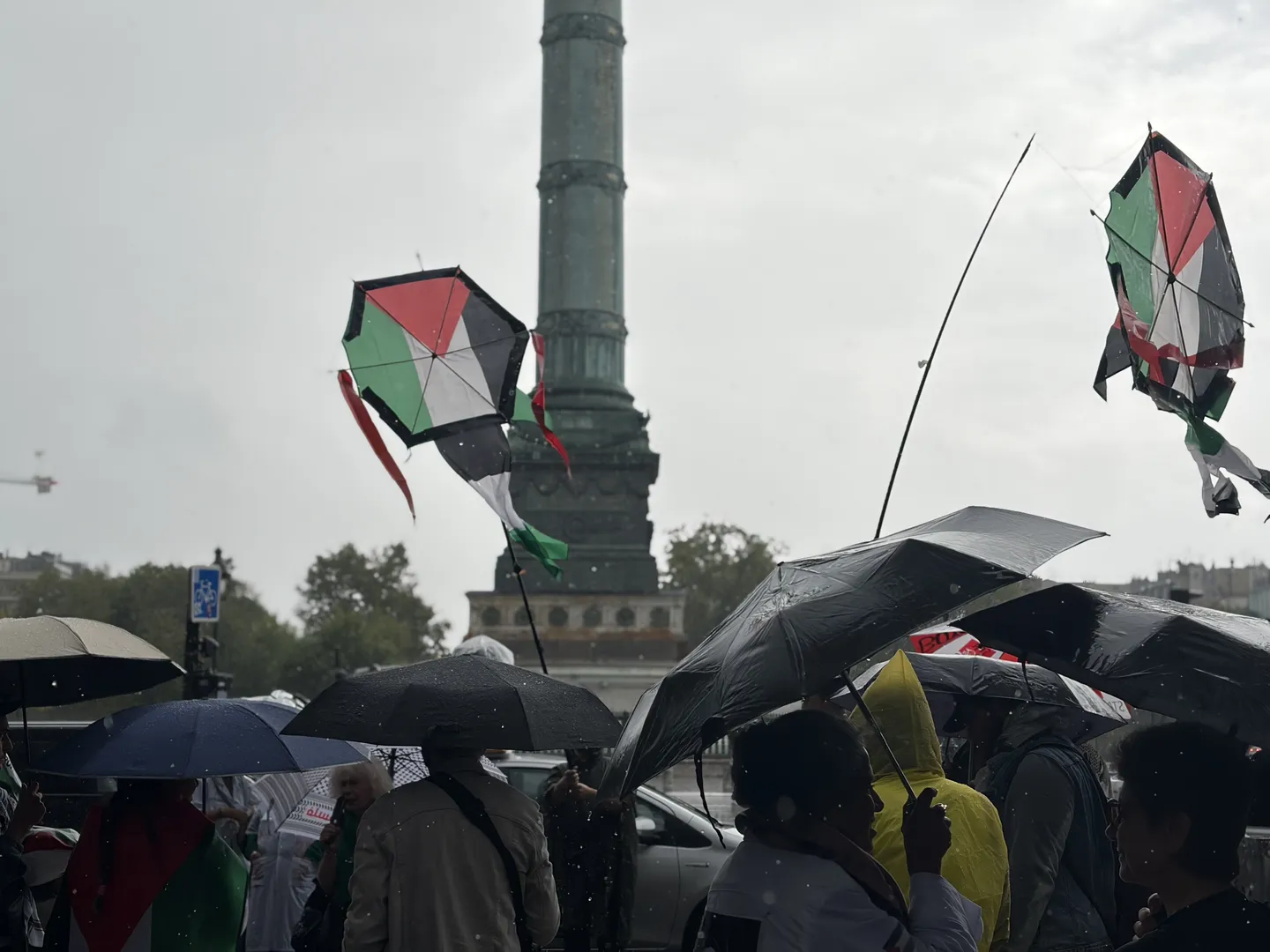 В Париже прошел марш в поддержку Палестины