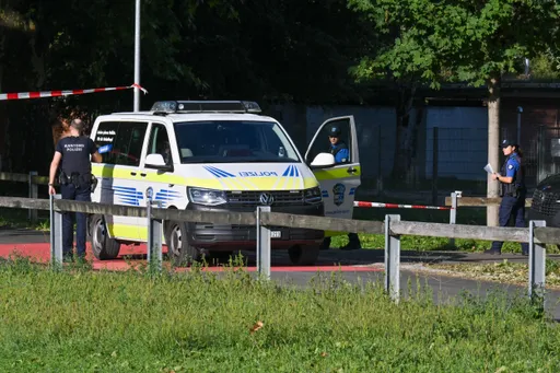 Schweiz: Ein Toter und fünf Verletzte nach Schüssen bei Veranstaltung