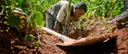 Solving soil: New FAO report reveals worsening degradation as proven solutions lags