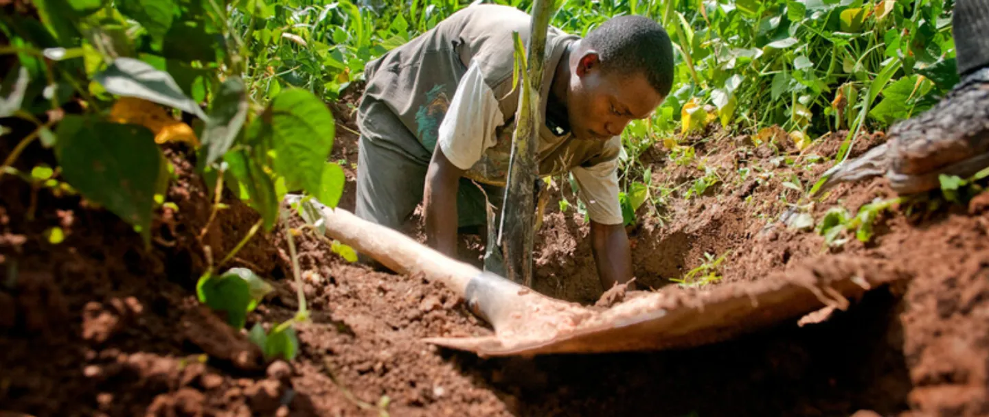 Solving soil: New FAO report reveals worsening degradation as proven solutions lags