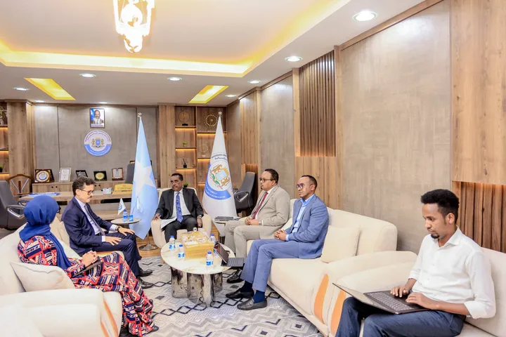 Soomaaliya iyo Algeria oo Ka Wada Hadlay Xoojinta Iskaashiga Dib-u-heshiisiinta iyo Maamulka