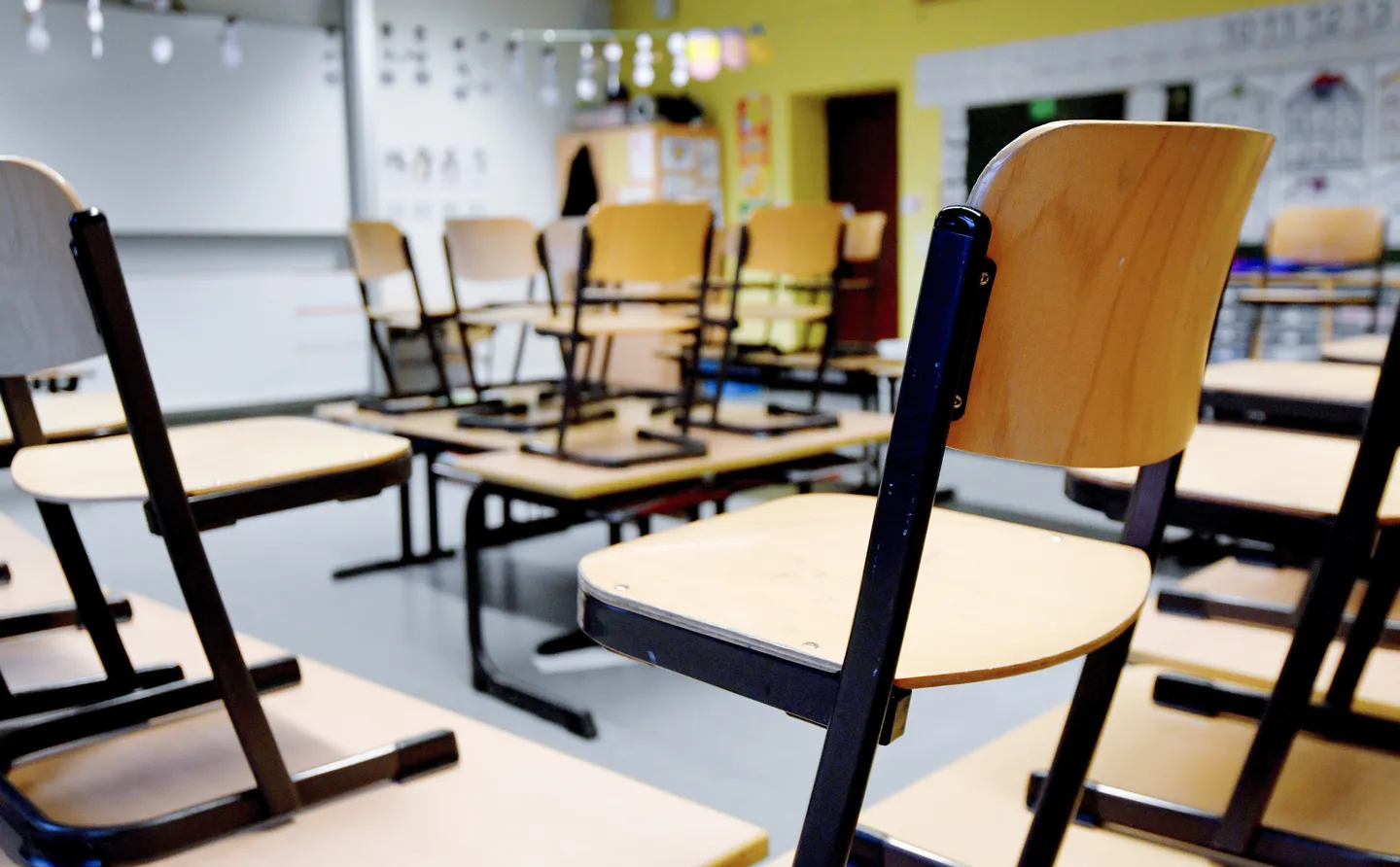 Handwerk warnt AfD vor Abschaffung der Schulpflicht