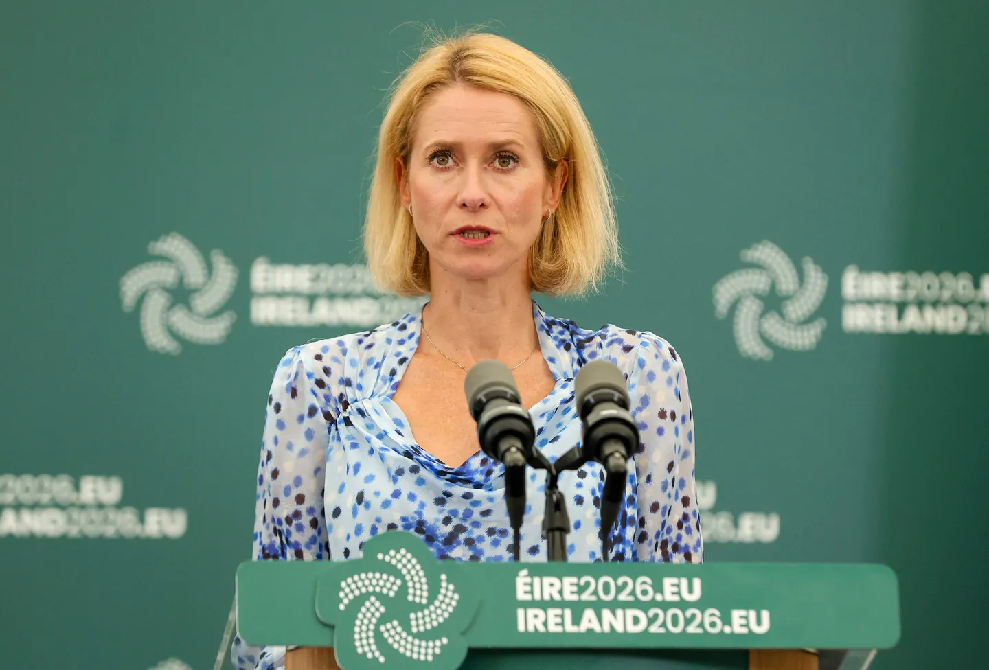 Kallas scraps EU defence advisory group after member state opposition