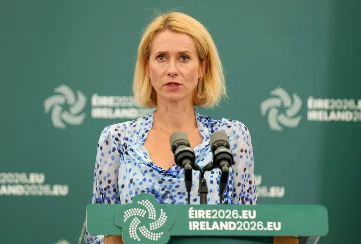 Kallas scraps EU defence advisory group after member state opposition