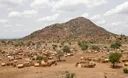 RSF attack on UN aid convoy in Sudan's South Kordofan kills one, injures two