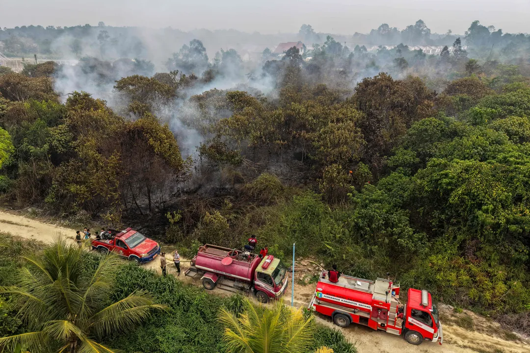 Kebakaran hutan terburuk dalam 11 tahun perparah krisis ISPA di Kalimantan