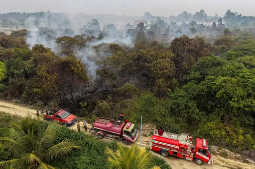 Kebakaran hutan terburuk dalam 11 tahun perparah krisis ISPA di Kalimantan