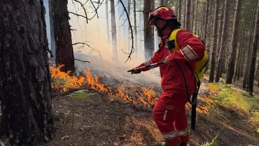 Në Shqipëri 11 vatra aktive zjarri, situatë problematike në Dajt