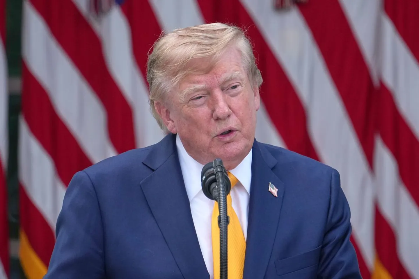 Trumps Namensidee für Bundesstaat New Mexico: „New America“