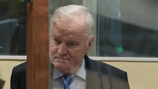 ЕУ ја осудува „глорификацијата“ на починатиот воен злосторник Младиќ